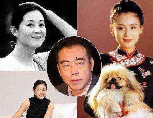 倪萍爆料陈凯歌视频播放,真相令人震惊！